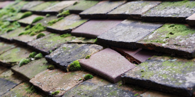 Ballinger Common roof repair costs